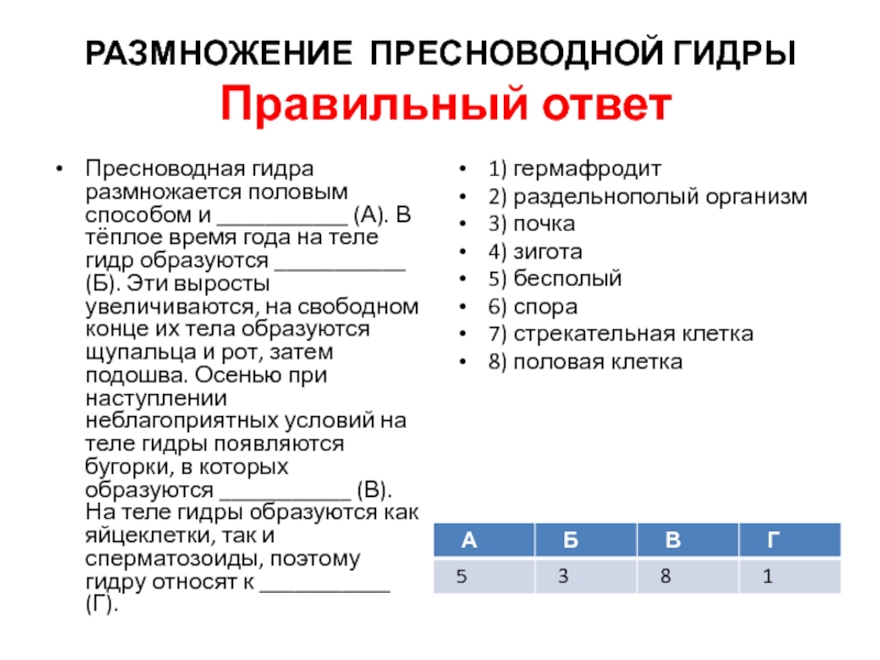 Кракен телегрф